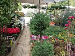 Landscaping & Garden Materials