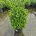 Landscaping & Garden Materials